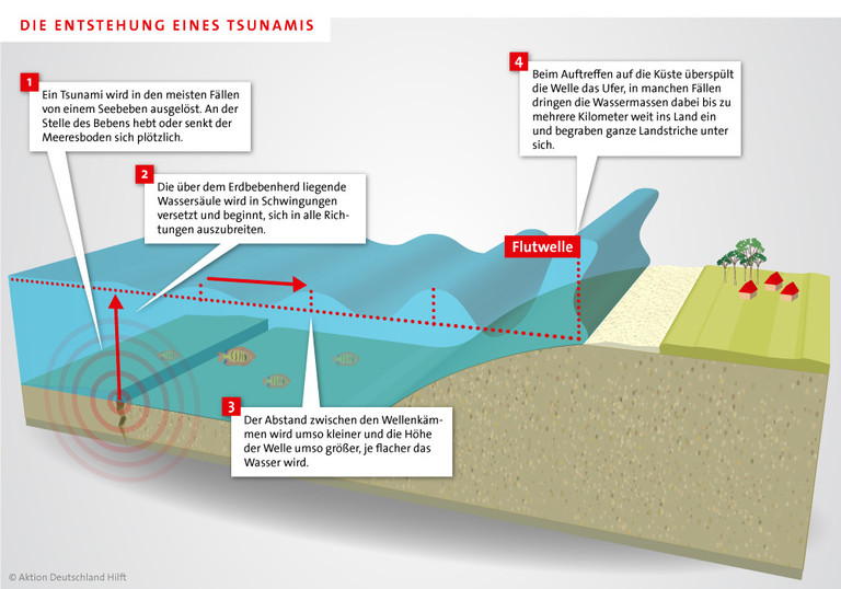 Infografik Entstehung eines Tsunamis