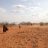 Äthiopien ist von zahlreichen Katastrophen und Konflikten betroffen. Zu sehen ist eine Wüste, das Bild wurde bei einem Einsatz von ShelterBox 2011 aufgenommen