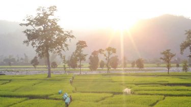 Testamentsspende - Mit Ihrem Testament Katastrophenopfern eine Zukunft spenden