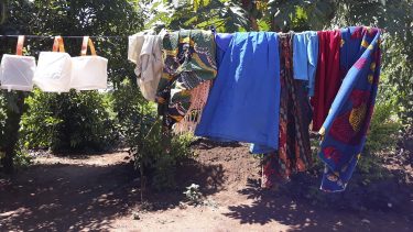 Die Erbschaftssteuer