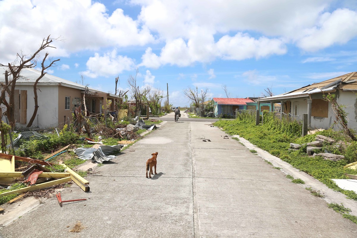 Hurrikansaison 2020, ShelterBox